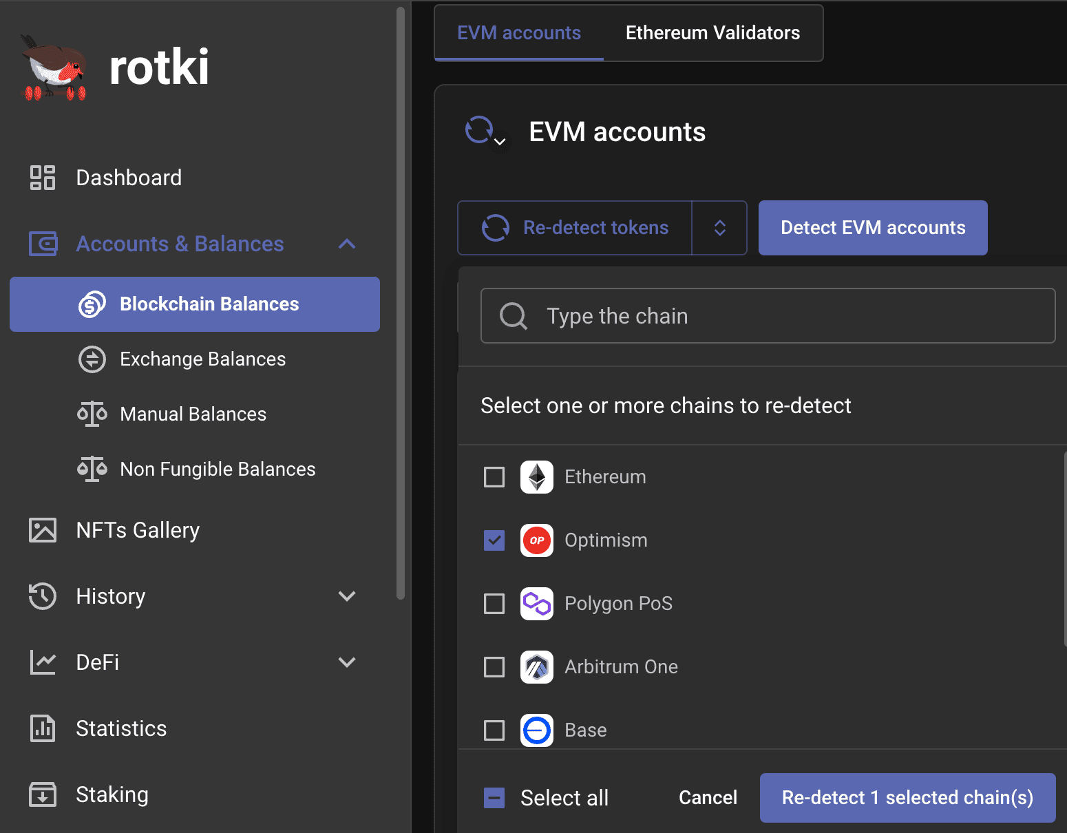 Example of re-detecting tokens for all EVM chains in the Blockchain Balances section.